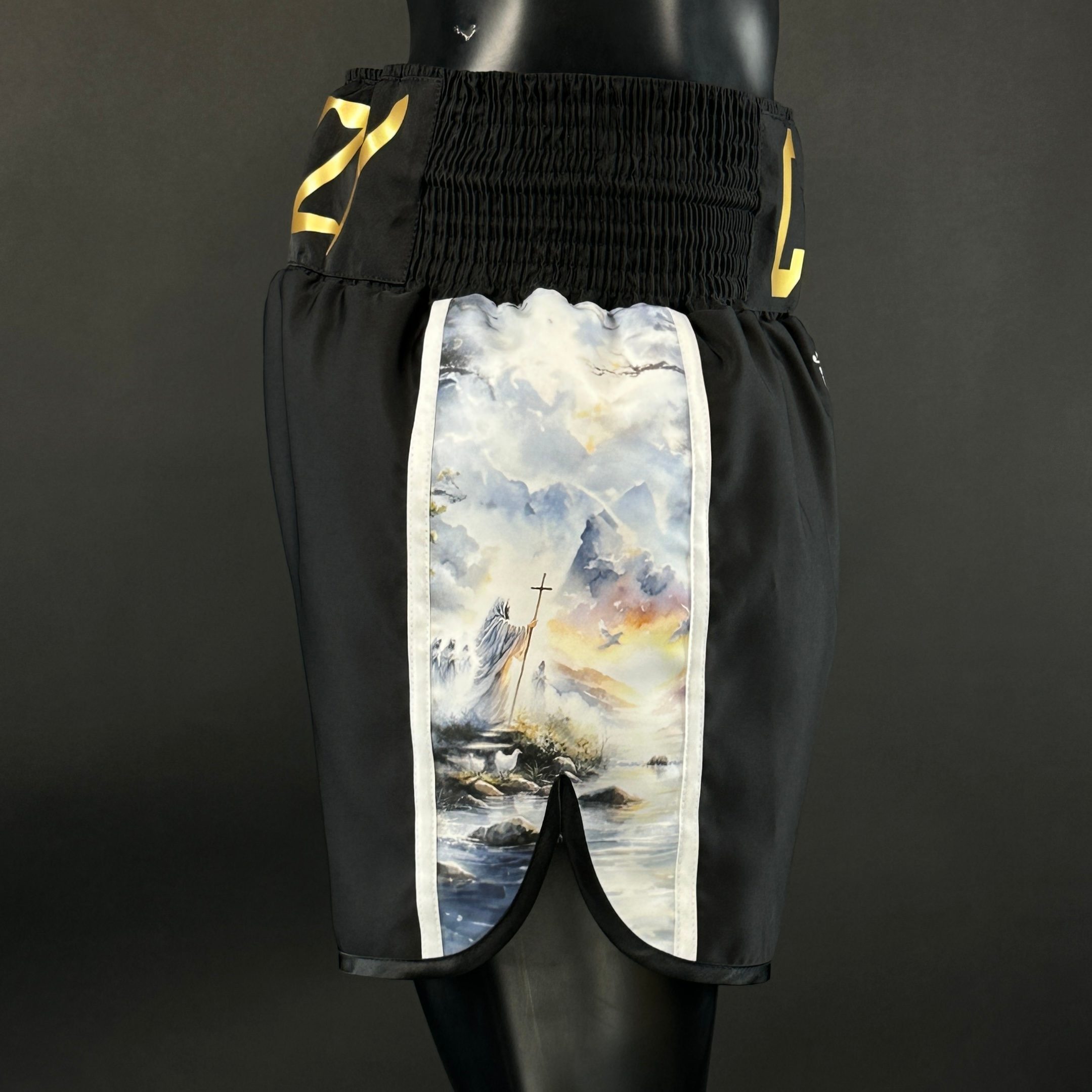 Side Stripe BX  Cameron 185783 Custom Boxing Shorts & Trunks