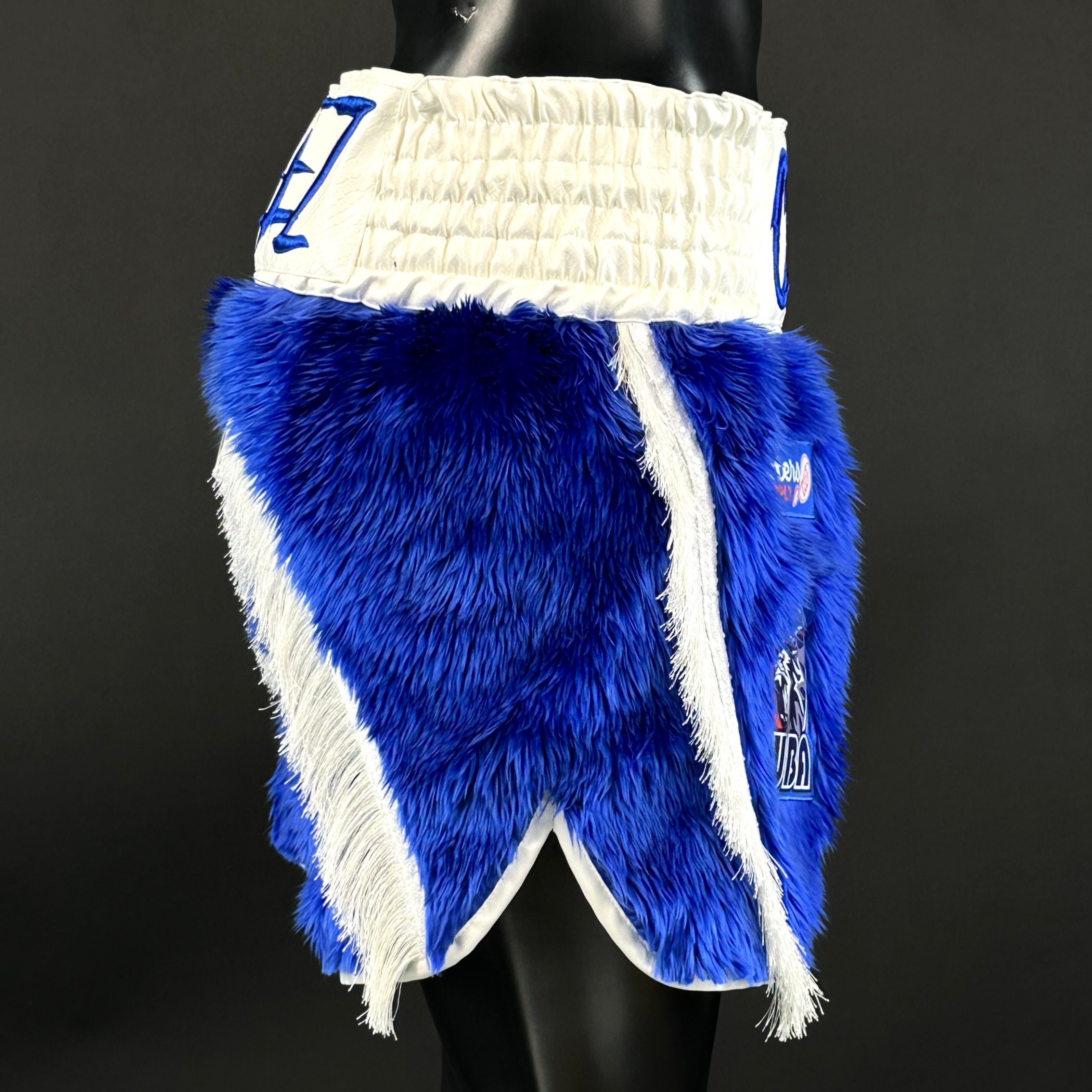 Floyd BX Gabriel 184844 Custom Boxing Shorts & Trunks