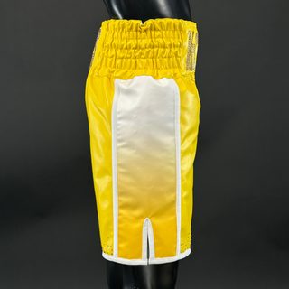 Side Stripe BX  Niguy 186360 Custom Boxing Shorts & Trunks