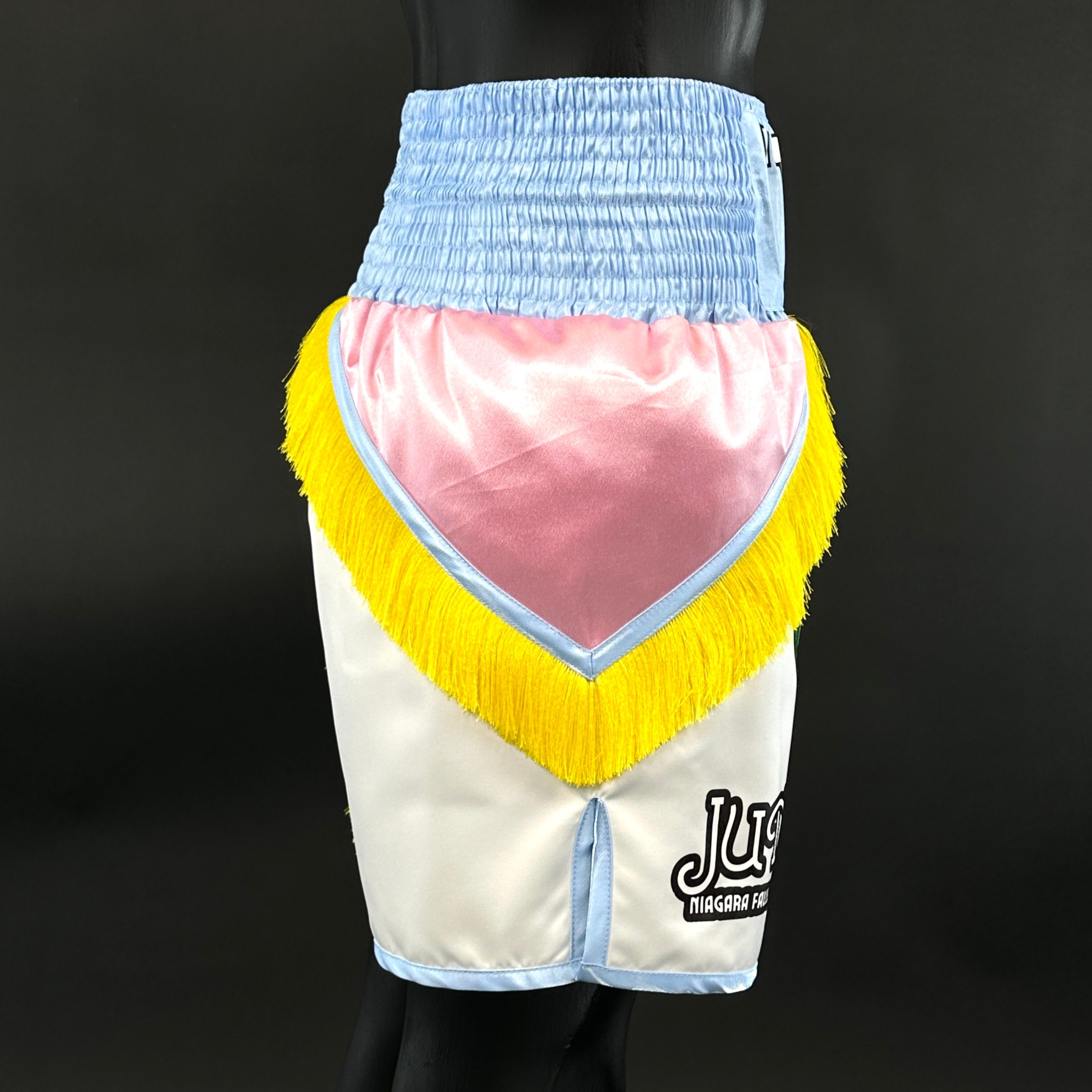 New York BX Michael 185909 Custom Boxing Shorts & Trunks