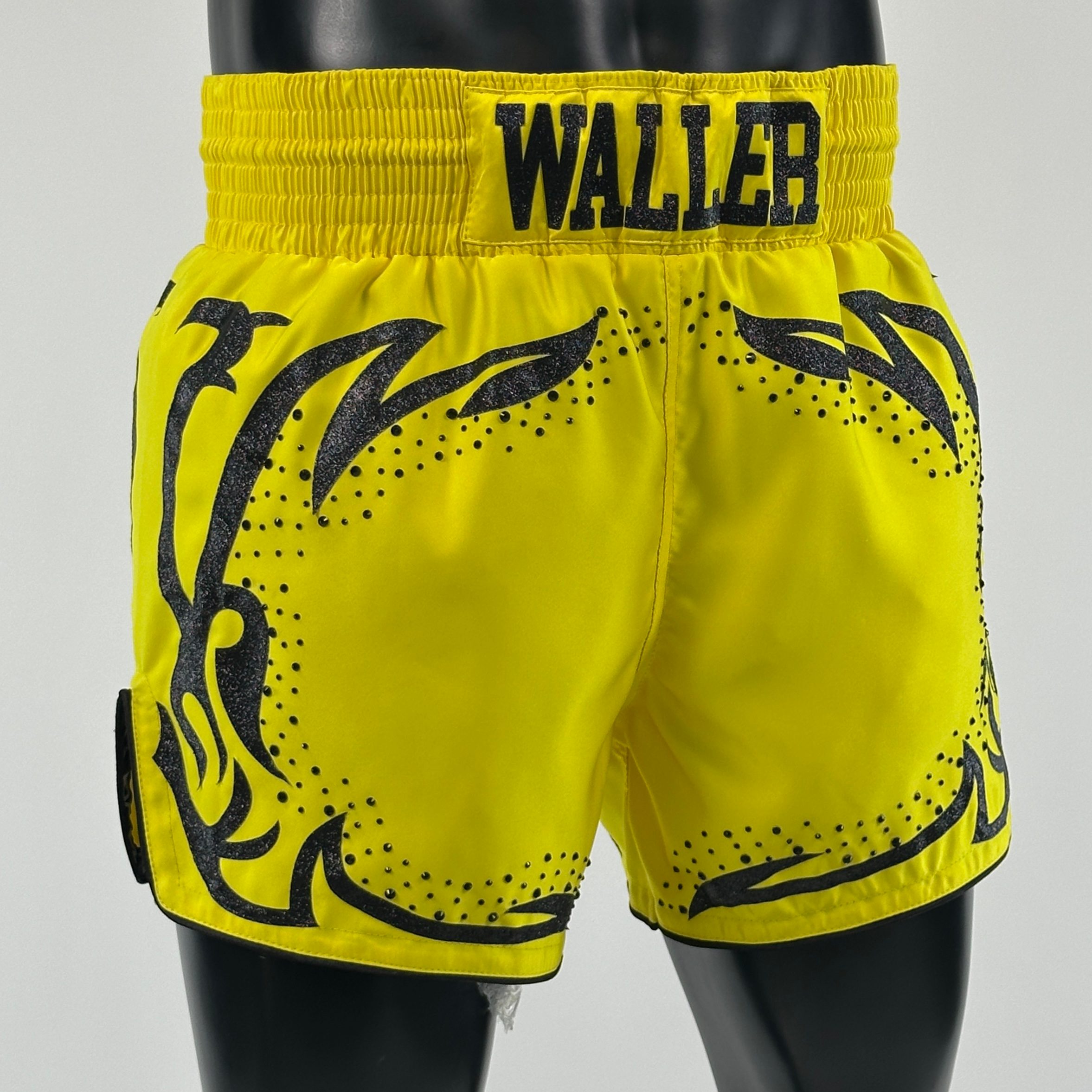 Blaze NEW (SPECIAL PRICE!!) Matt 187681 Muay Thai Shorts