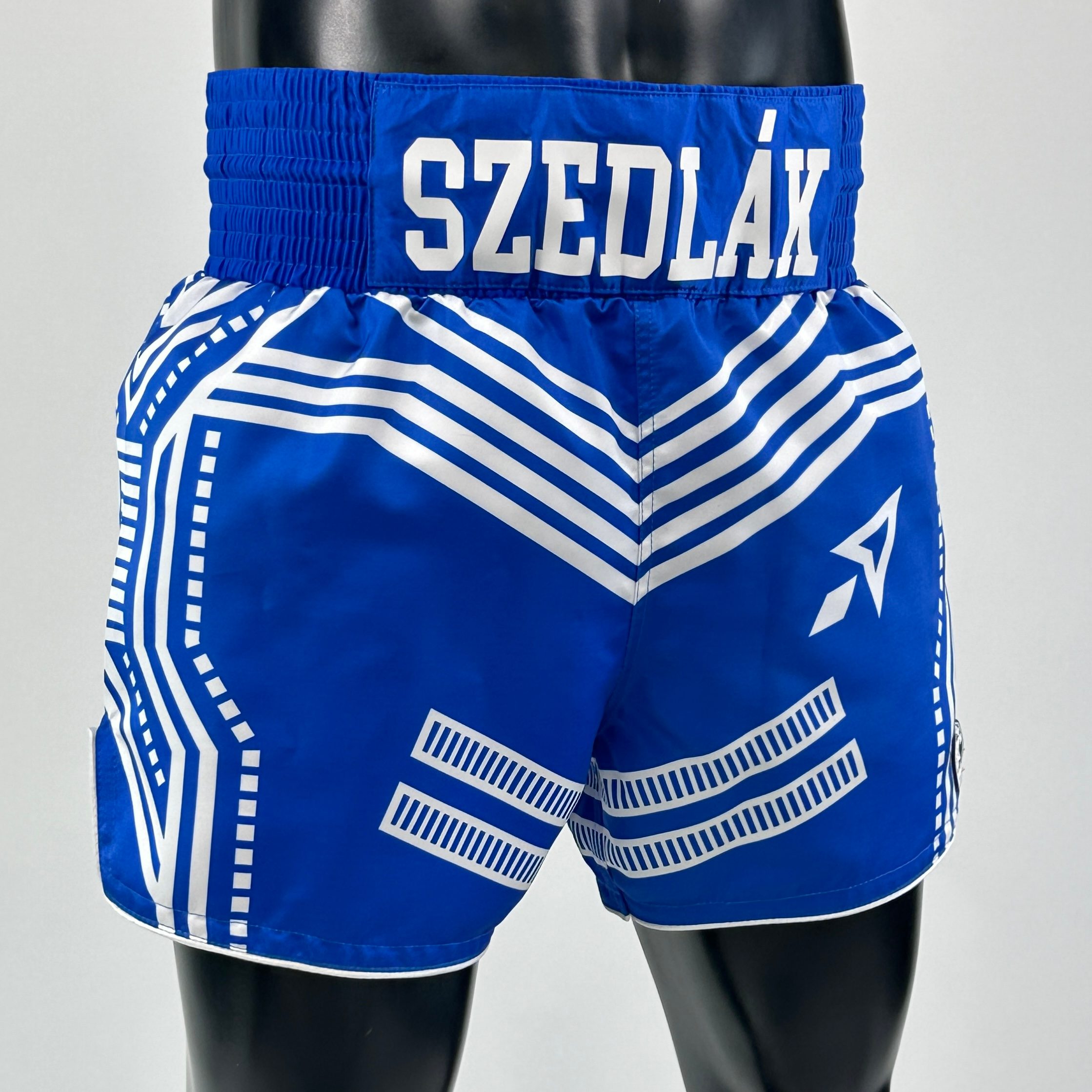 ROBOT MTS Olivér 186865 Muay Thai Shorts