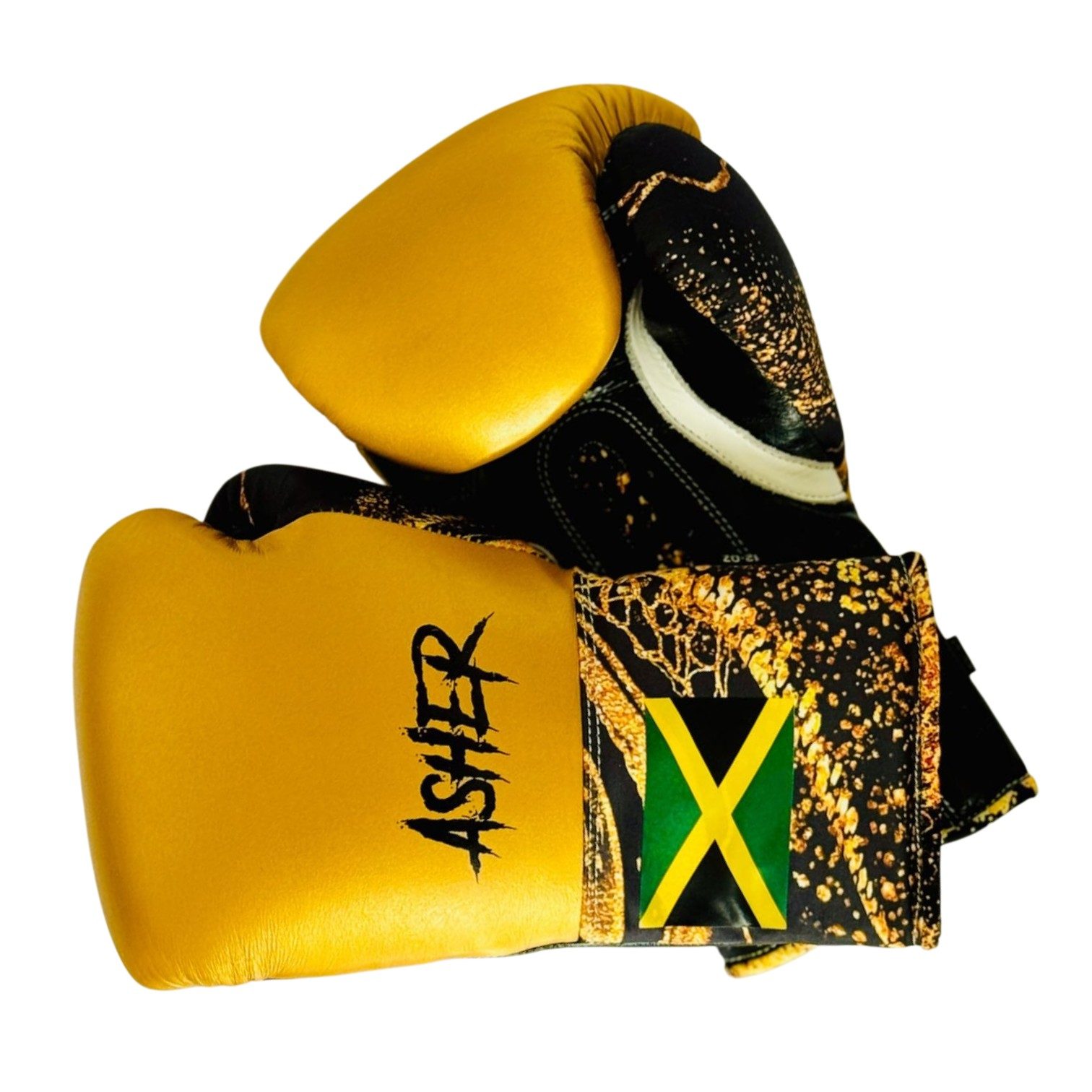 Gloves Laced / Flat 190132 Asher Boxing Gloves