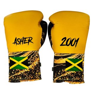 Impact Pro Classic 190132 Asher Boxing Gloves
