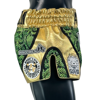 DREAM MTS Michael 191124 Muay Thai Shorts