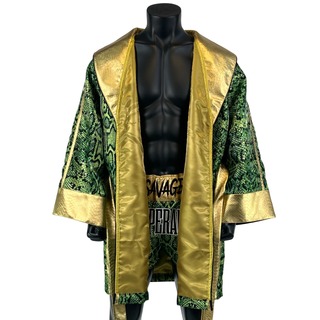 DREAM MTS Michael 191124 Muay Thai Shorts