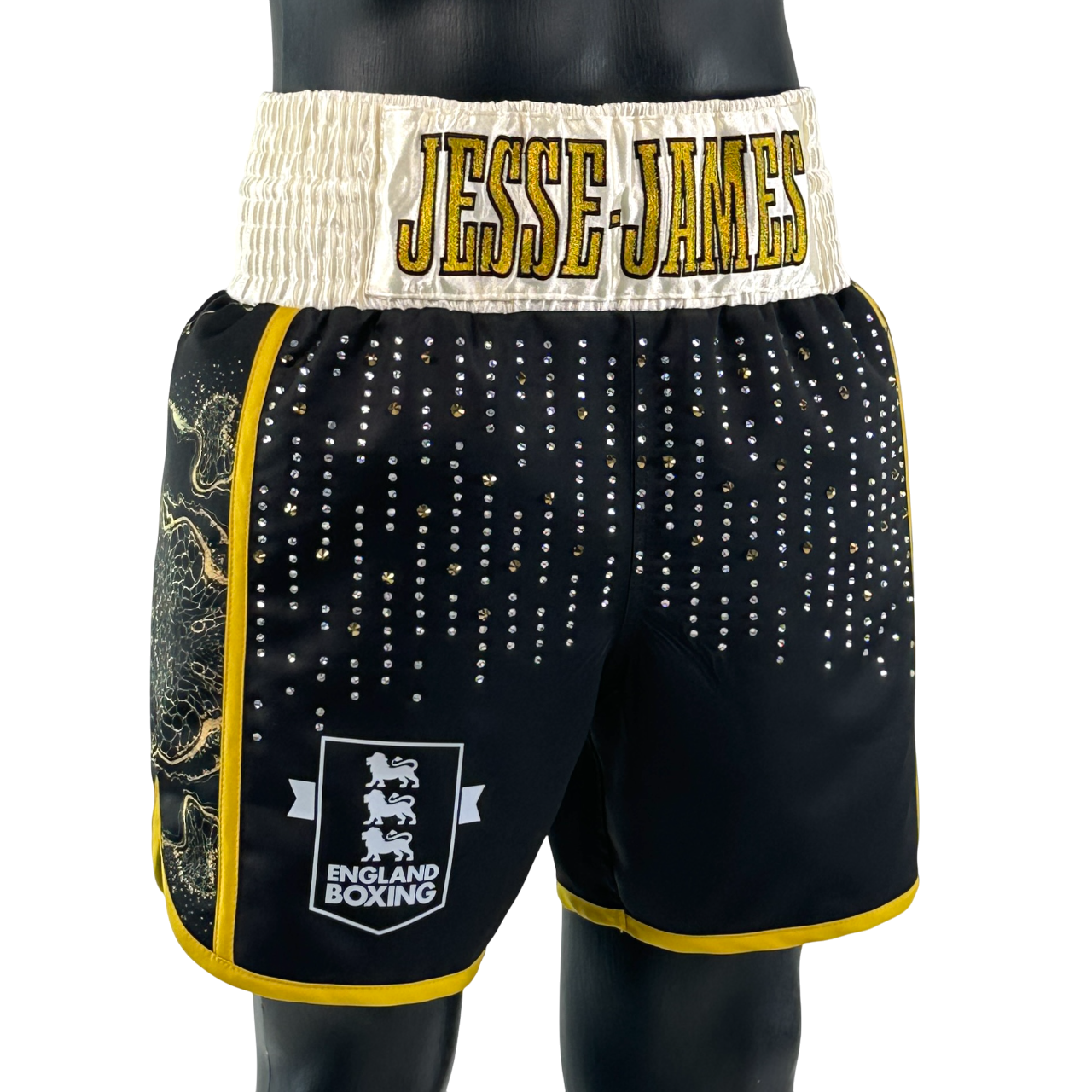 Side Stripe BX Ashley 190951 Custom Boxing Shorts & Trunks
