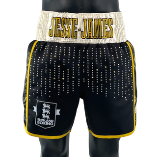 Side Stripe BX Ashley 190951 Custom Boxing Shorts & Trunks