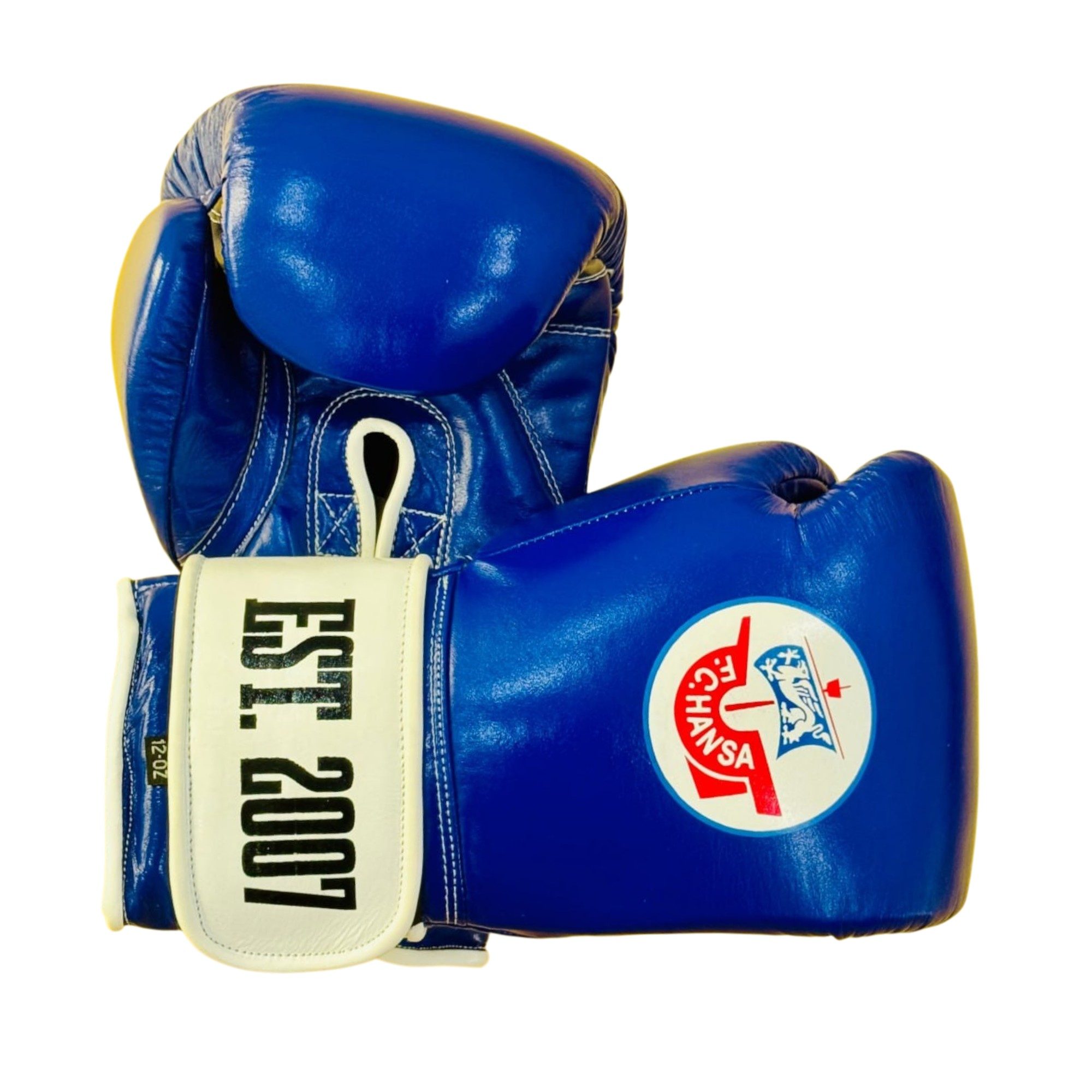GLOVES EASY (2 colour) Old 191098 Jannis Boxing Gloves