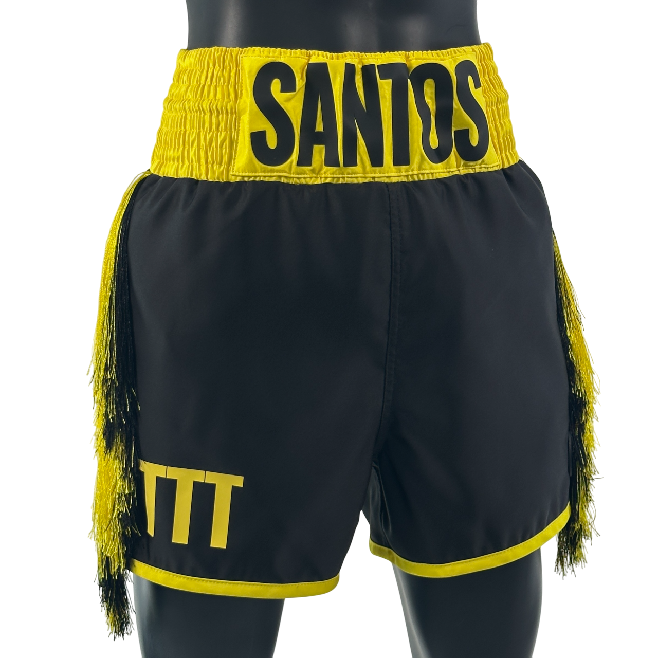 Classic BX New Alisha 191363 Custom Boxing Shorts & Trunks