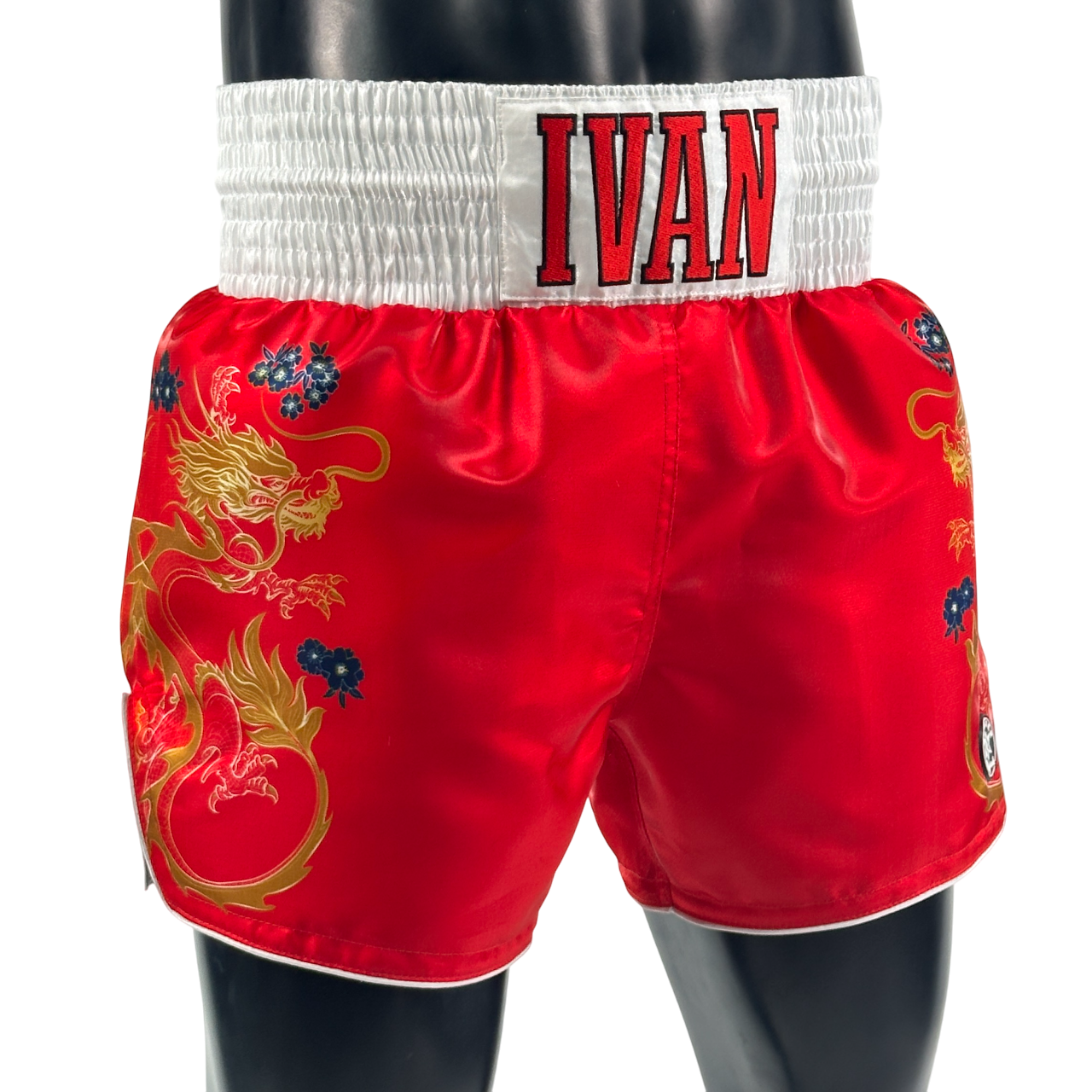 DRAGON MTS Albert 192527 Muay Thai Shorts