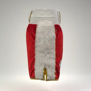 Side Stripe BX Danny Red&White&Gold 192628 Custom Boxing Shorts & Trunks