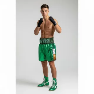 Custom boxing shorts in green high-shine satin with snake print waistband and flag detail