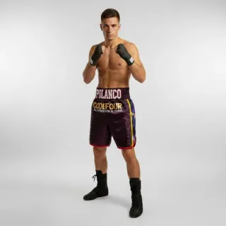 Side Stripe BX Purple (Eggplant) Daniel P Custom Boxing Shorts & Trunks