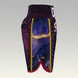 Side Stripe BX Purple (Eggplant) Daniel P Custom Boxing Shorts & Trunks