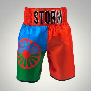custom boxing shorts ROMANI design shimmer light satin with flag sublimation print blue green red