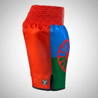 custom boxing shorts ROMANI design shimmer light satin with flag sublimation print blue green red