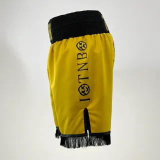   Yellow & Black Kane S Full Kits