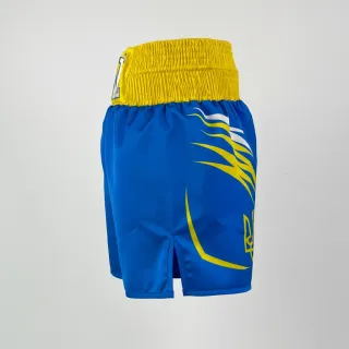 Classic BX Brigita Blue & Yellow Custom Boxing Shorts & Trunks