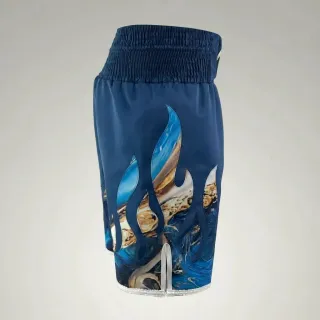 Fire BX aron Navy Blue Custom Boxing Shorts & Trunks