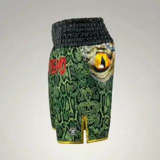 Classic BX Killian Green Snake & Black Custom Boxing Shorts & Trunks