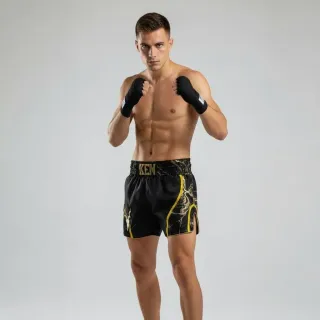 Wei Black & Gold Muay Thai Shorts with Thin Waistband Triangle design