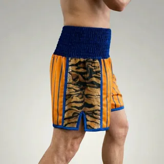 Star fall BX Orlando  Orange & Brown Tiger Custom Boxing Shorts & Trunks