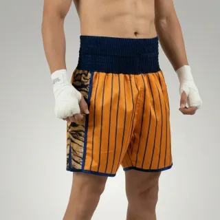 Star fall BX Orlando  Orange & Brown Tiger Custom Boxing Shorts & Trunks