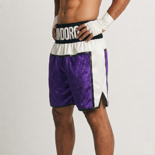 JOSHUA BX Bobby 191733 Custom Boxing Shorts & Trunks