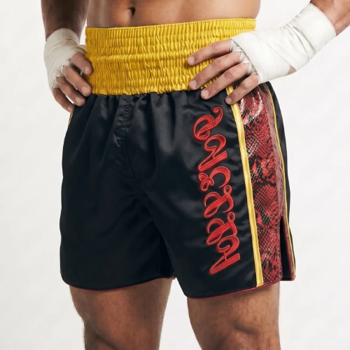 Side Stripe MTS | Custom Muay Thai Shorts | Boxxerworld