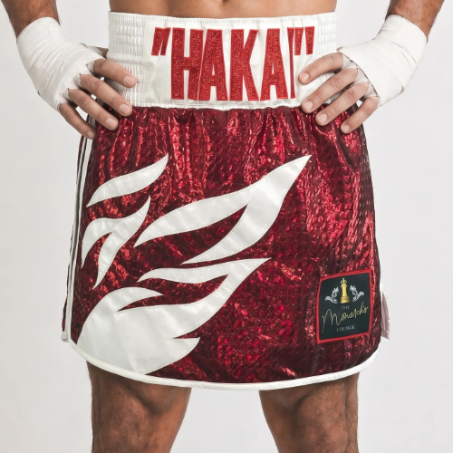 Roy Jones GLA | Custom Gladiator Shorts | Boxxerworld