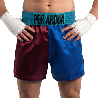 Haringey MTS anthony Maroon & Blue Muay Thai Shorts