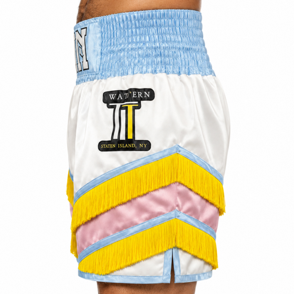 New York BX White &Pink & Blue  michael Custom Boxing Shorts & Trunks