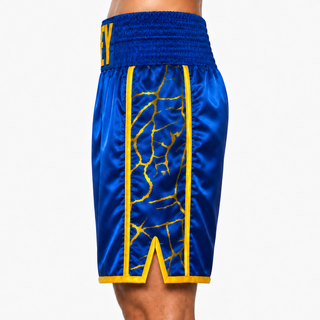 Thor BX Blue & Yellow Lukas Custom Boxing Shorts & Trunks