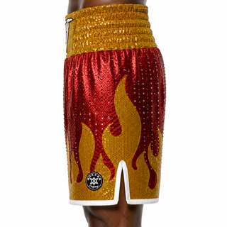 Fire BX Red & Gold Troy Custom Boxing Shorts & Trunks