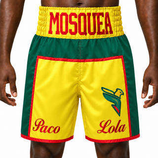 JOSHUA BX Green & Yellow Leonardo Custom Boxing Shorts & Trunks