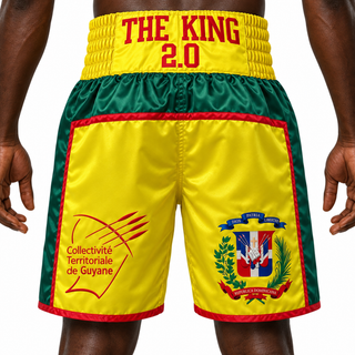 JOSHUA BX Green & Yellow Leonardo Custom Boxing Shorts & Trunks