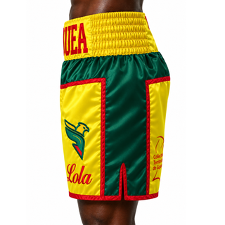 JOSHUA BX Green & Yellow Leonardo Custom Boxing Shorts & Trunks
