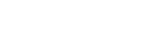 Fighter Name