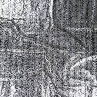 Silver Python