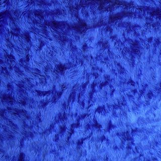 Blue Long fur