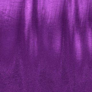 Purple Daisy