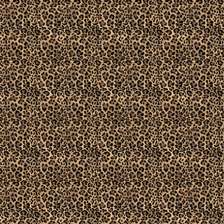 Classic Leopard