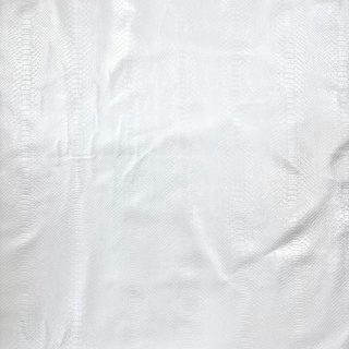 Off-White snake (new for style)