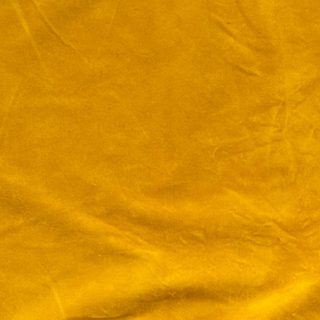 Mustard Yellow Suede