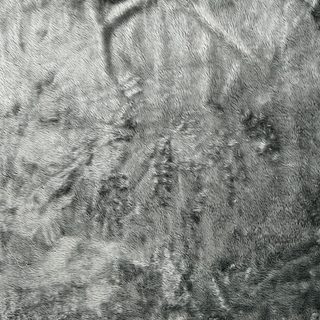 Grey Long fur