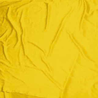 Yellow Velour