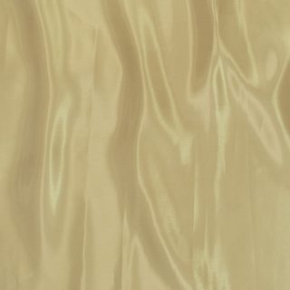 Dark Champange Shimmer Light