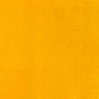Yellow Gold Velour 