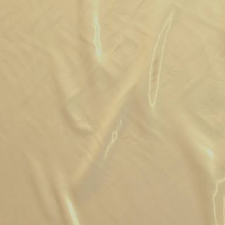 Champange#02 Shimmer Light Satin